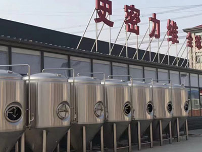 肃宁精酿啤酒设备厂—如何判断精酿啤酒设备的密封件需要更换？